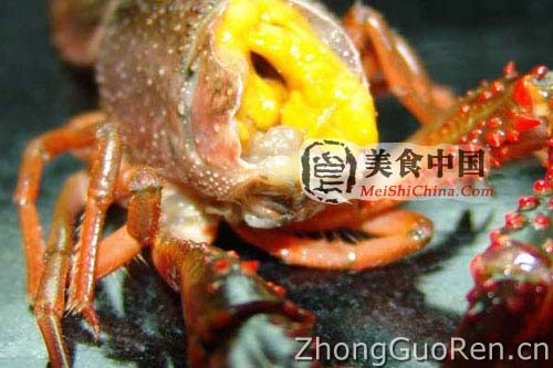 美食中国图片 - 自制麻辣小龙虾-图解