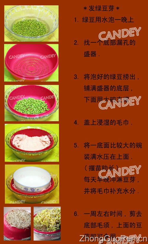 Candey·脆爽三拌，附自发绿豆芽的方法