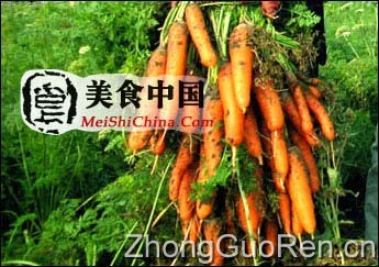 美食中国图片 - 胡萝卜的家庭食疗菜谱