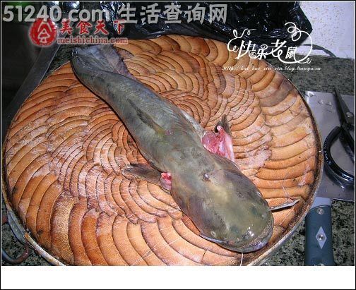 火锅鲶鱼