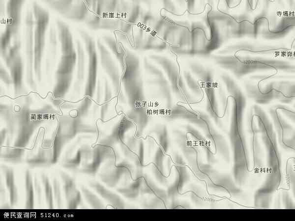 张子山乡地形图 - 张子山乡地形图高清版 - 2024年张子山乡地形图