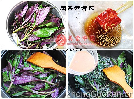 腐香紫背菜