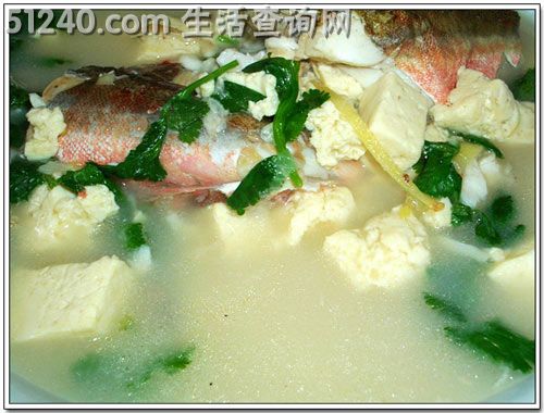 红头鱼炖豆腐