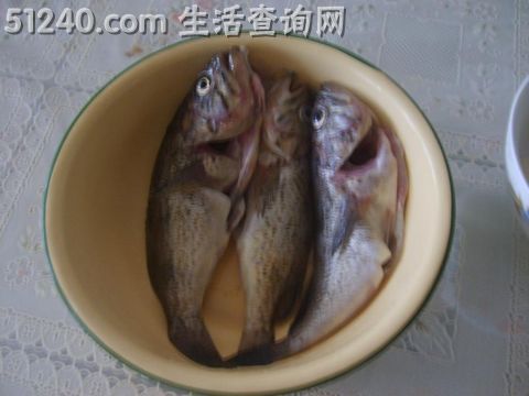 黑鱼豆腐汤