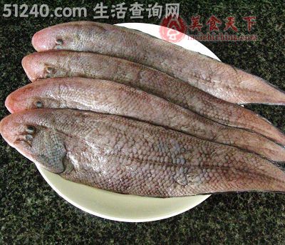 闽南肉鱼图片