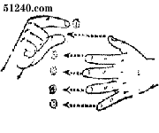 手语条文