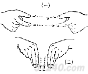 手语条约