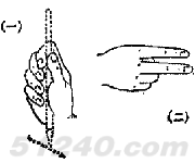 手语书法