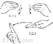 手语教养