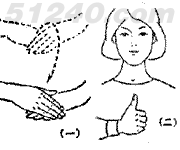 手语技师