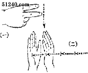 手语法制